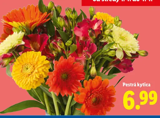 Pestrá kytica zmiešaných kvetov