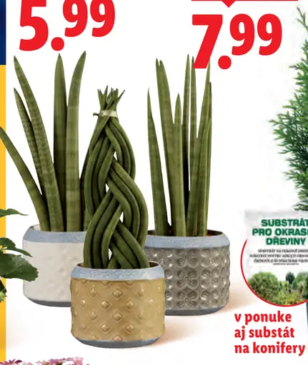 Kvitnúca rastlina v keramike