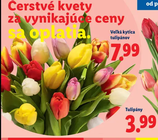 Veľká kytica tulipánov