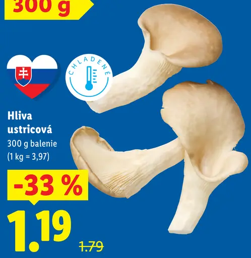 Hlivа ustricová čerstvá