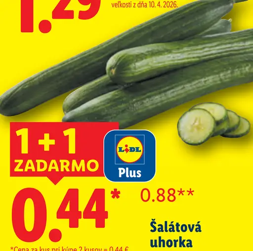 Šalátová uhorka čerstvá