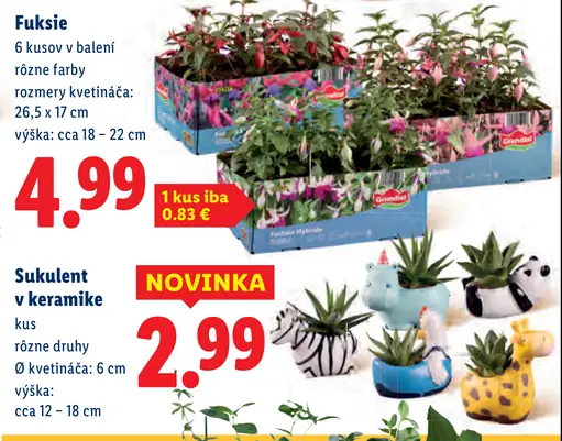 Fuksie v balení