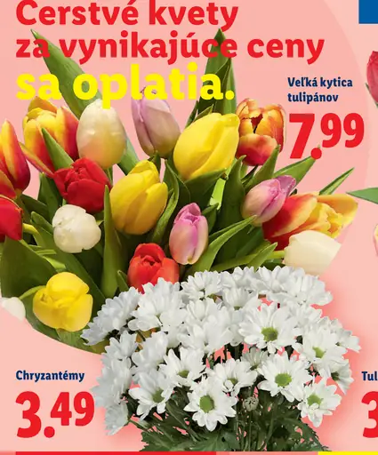 Veľká kytica tulipánov