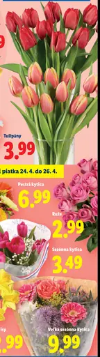 Tulipány