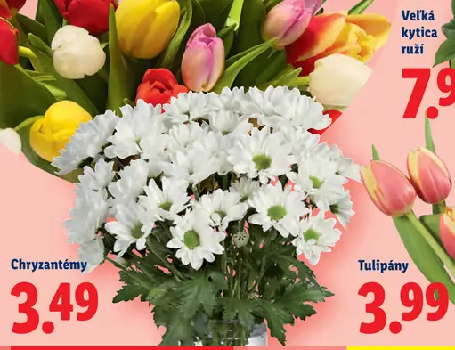 Chryzantémy rezané