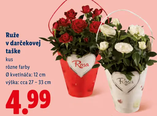 Ruže v darčekovej taške