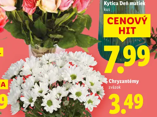 Chryzantémy zväzok