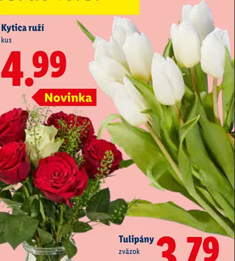 Tulipány zväzok