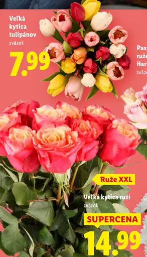 Veľká kytica tulipánov