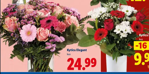Kytica Elegant