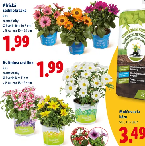 Mulčovacia kôra