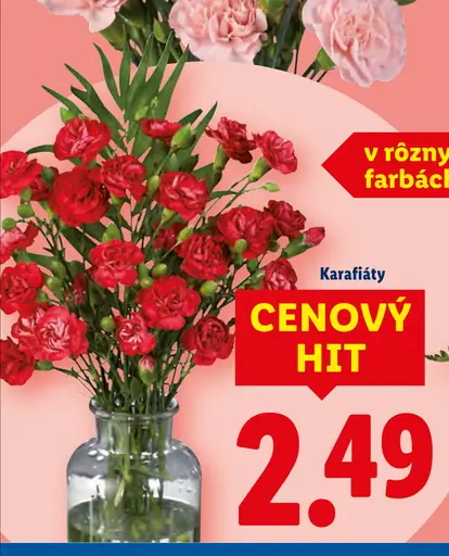 Karafiáty v rôznych farbách
