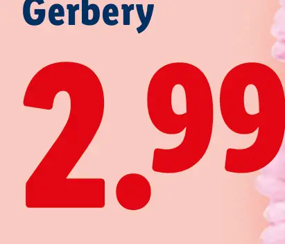Gerbery