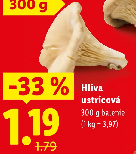 Lidl hliva ustricová