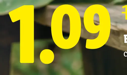 Šalátová uhorka
