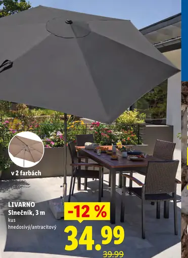 Livarno slnečník