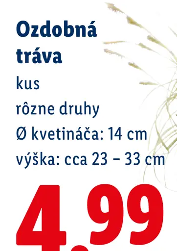 Ozdobná tráva