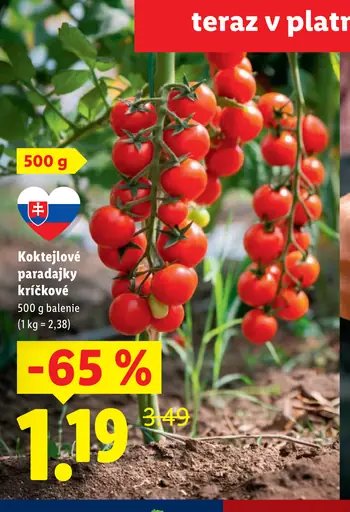 Paradajky koktejlové strapcové