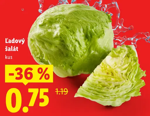 Ľadový šalát
