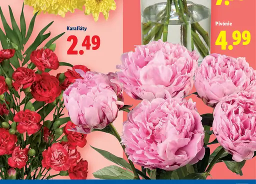 Pivónie rezané kvety