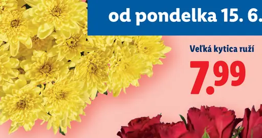Veľká kytica ruží rezané kvety