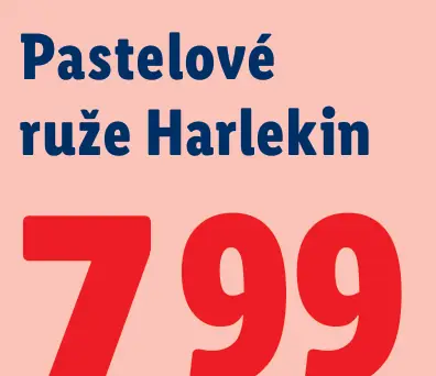 Pastelové ruže Harlekin rezané kvety