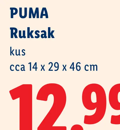 Puma ruksak