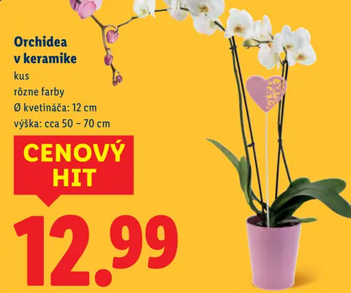 Orchidea v keramike