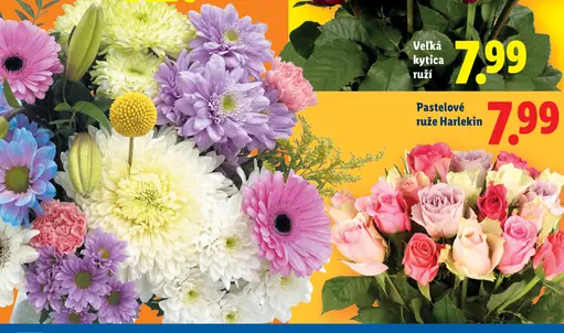 Lidl pastelové ruže Harlekin kytica