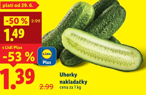 Uhorky nakladačky čerstvé