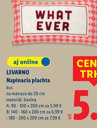 Livarno dekoračný vankúš What Ever