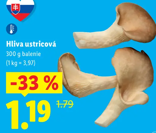 Hliva ustricová