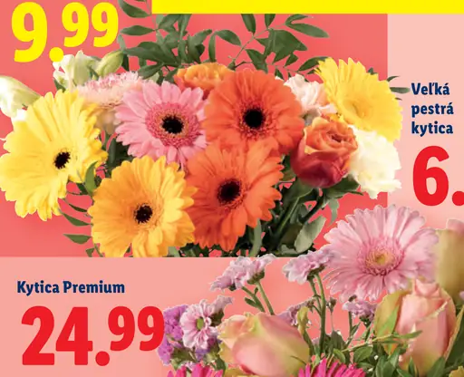 Kytica Premium