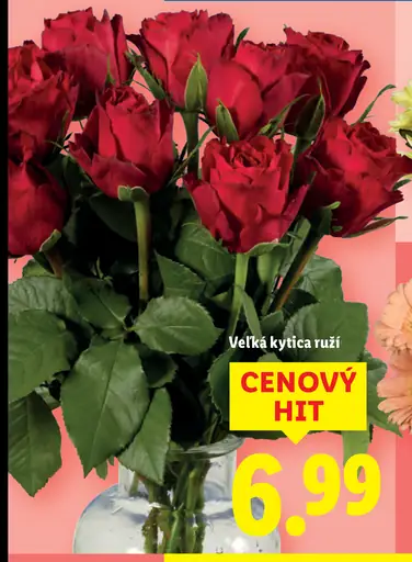 Kytica ruží