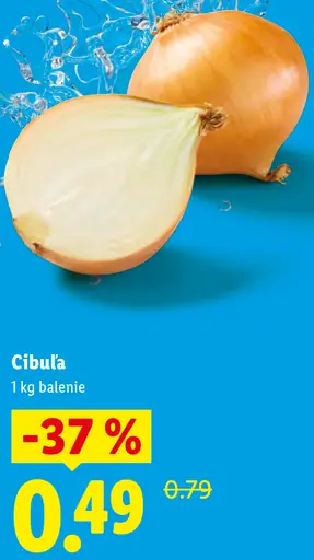 Cibuľa