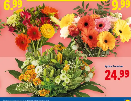 Kytica Premium