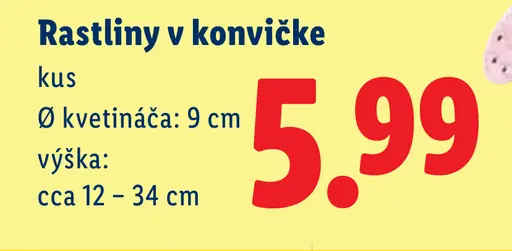 Trojfarebné rastliny v konvičke