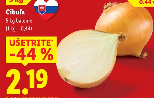 Cibuľa