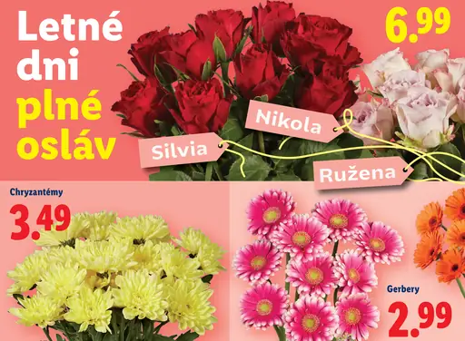 Veľká kytica ruží – Silvia, Nikola, Ružena