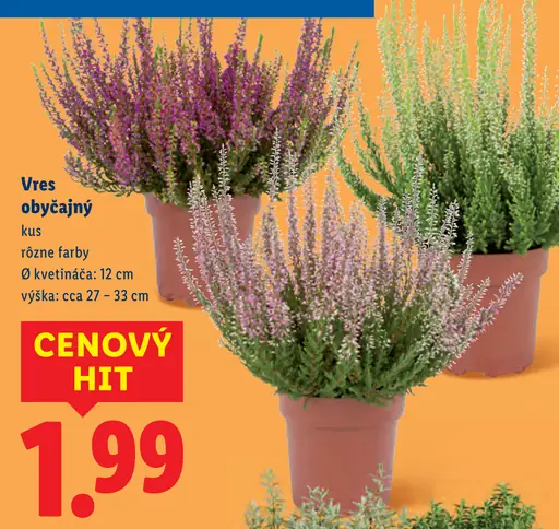 Vres obyčajný