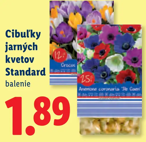 Cibulky jarných kvetov