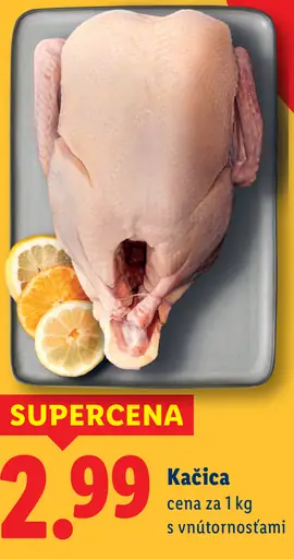 Kačica