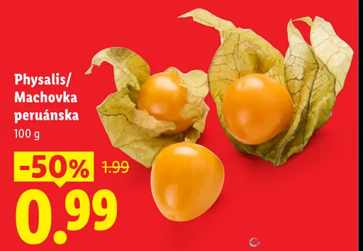 Physalis/Machovka peruánska