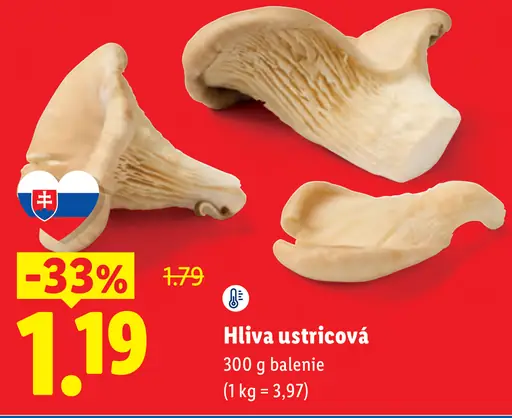 Hlivy ustricové