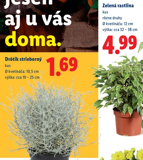 Drôtik strieborný