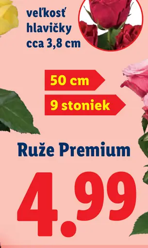 Ruže Premium