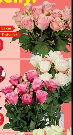 Veľká kytica ruží