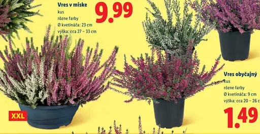 Vres v miske
