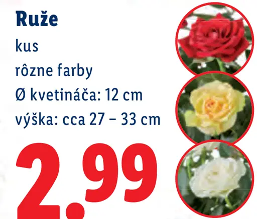Ruža