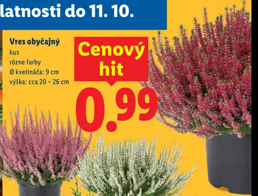 Vres obyčajný